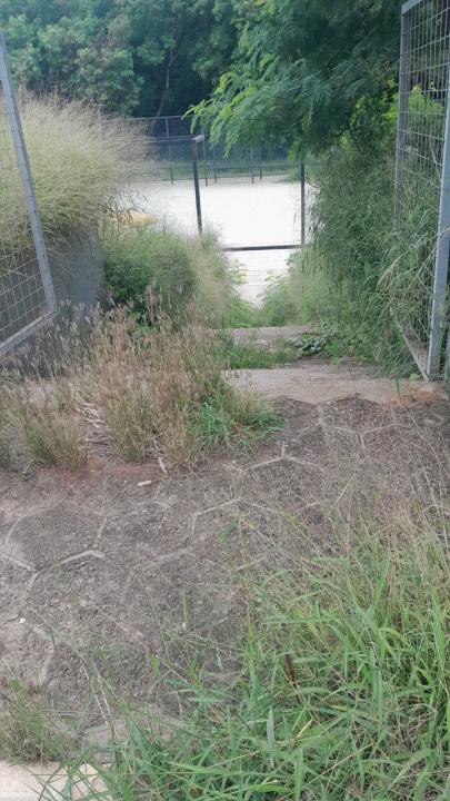 Foto 14 de 16 — Praça do Selmi Dei fica mais de 5 meses sem limpeza e moradores relatam aparecimento de cobras